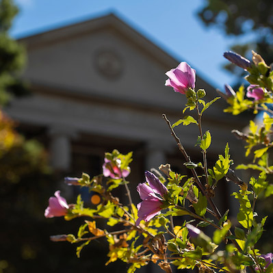 Melrose Hall behind flowers in bloom