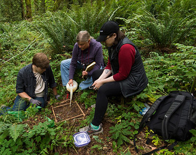 Students researching with faculty