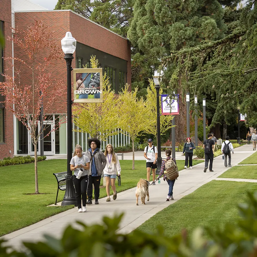 students walking in the quad.