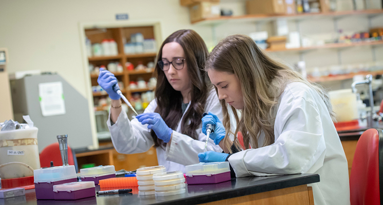 students working in the new science center.