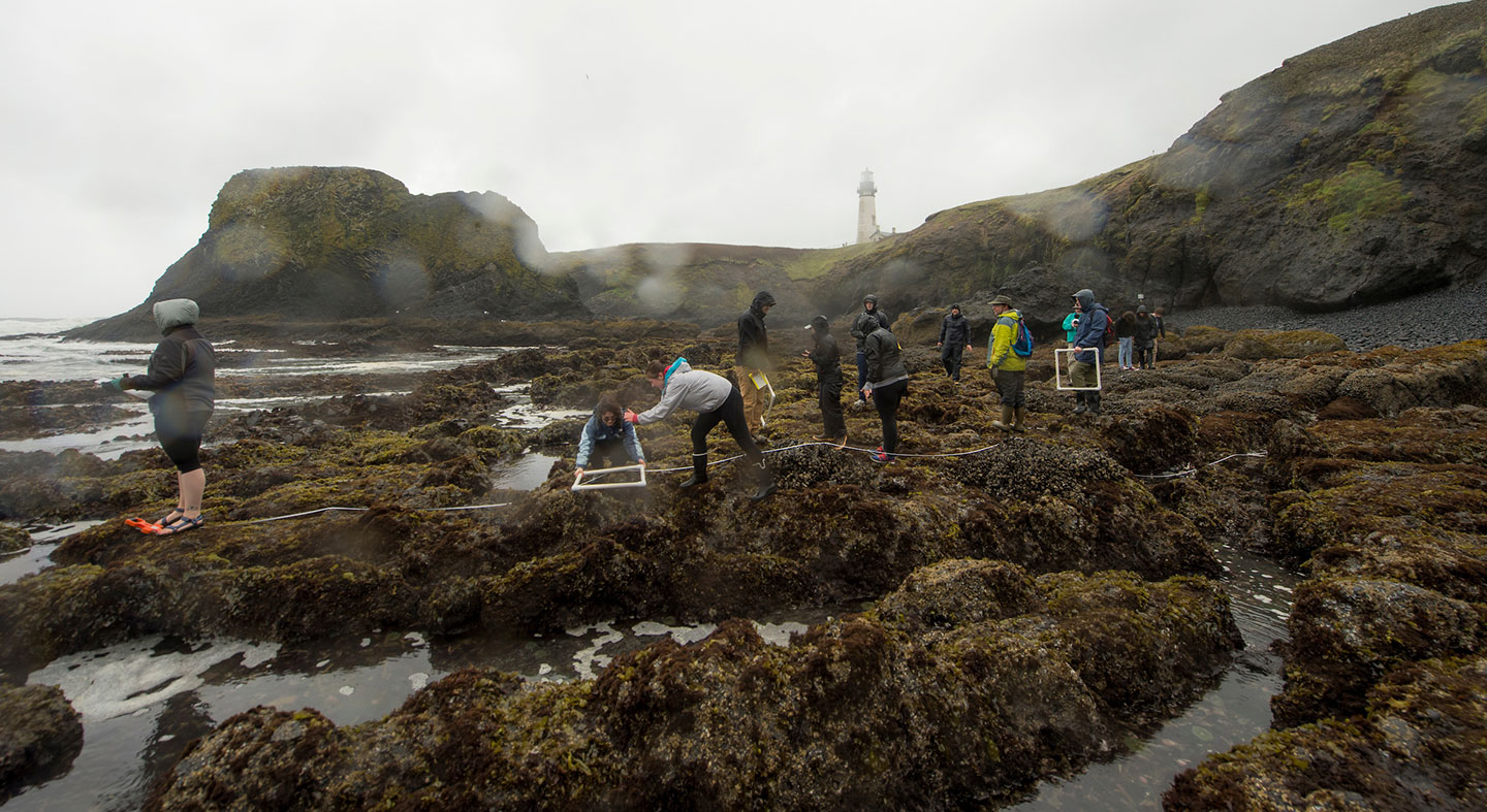 Biology research at the Oregon coast