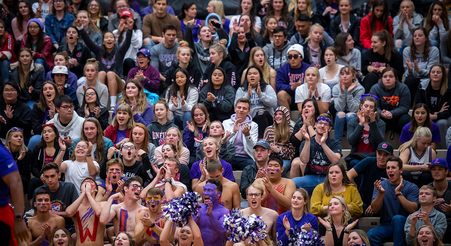 Spectators in the bleachers cheering during a game.