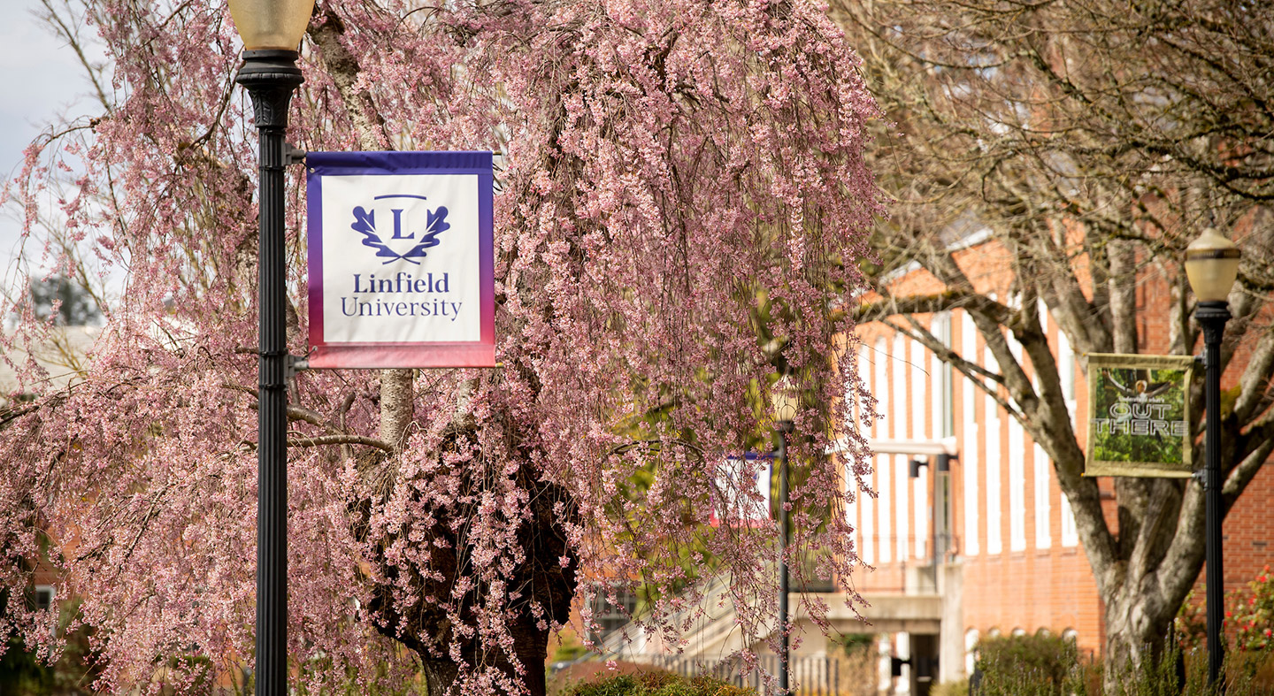 A view of TJ Day Hall from the academic quad in the spring.