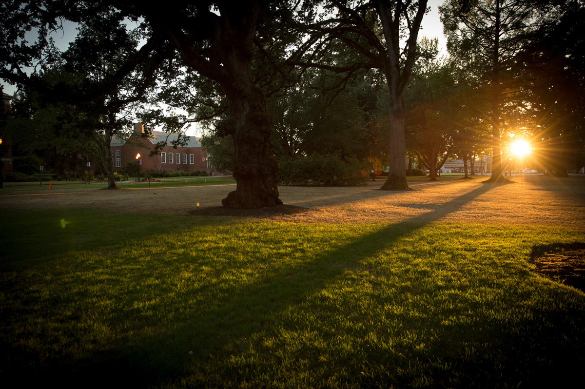 sunset on campus